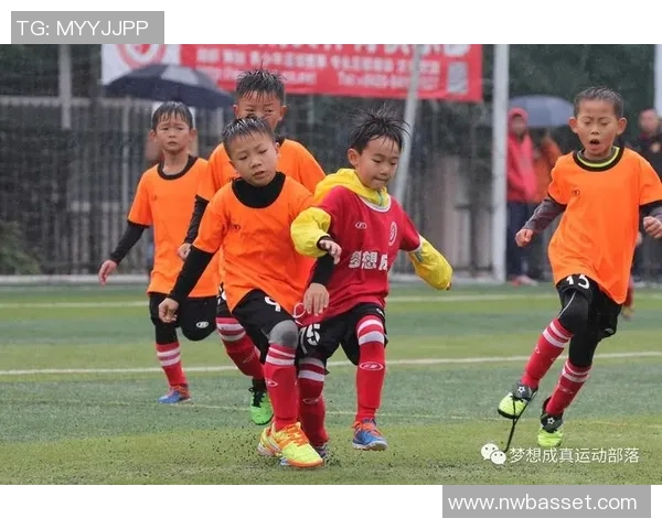 《踢向梦想的传承 足球传奇球星之子如何超越父亲的辉煌》 《踢向梦想的传承 足球传奇球星之子如何超越父亲的辉煌》