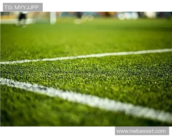 《从草地到绿茵场：一位足球巨星的成长与奋斗之路》